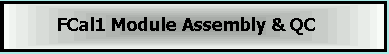 FCal1 Module Assembly and QC